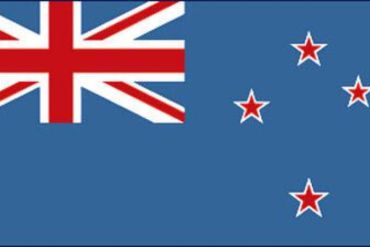 Redesigning NZ Brand logo II-Brand Development Process